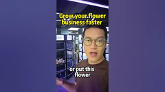 Hei pemilik toko bunga kami memiliki solusi untuk meningkatkan bisnis bunga Anda, mesin penjual bunga segar