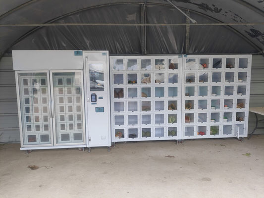 Mesin penjual otomatis khusus grafis untuk telur produk pertanian di ujung jari Anda