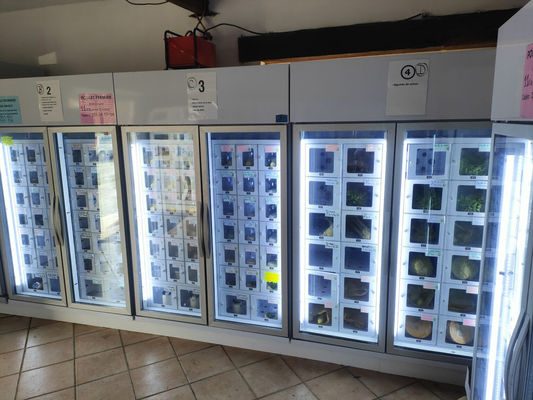 Android 11 Mesin Dispenser Telur untuk Petani Berskala Kecil 24/7 Kenyamanan dan Efisiensi